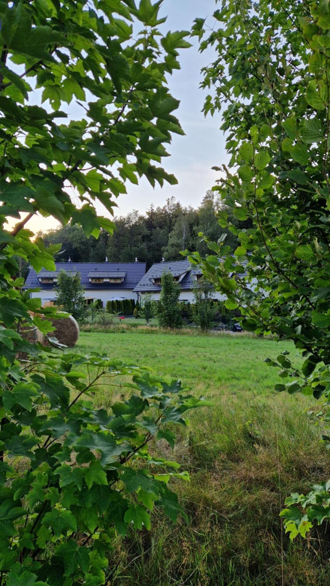 Widokowo - Domki Z Widokiem Na Sniezke Z Jacuzzi I Sauna Karpacz Exteriör bild